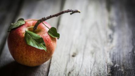 Write what you want here